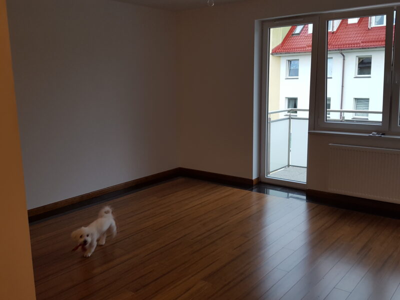 Wysoki komfort ( nowe )