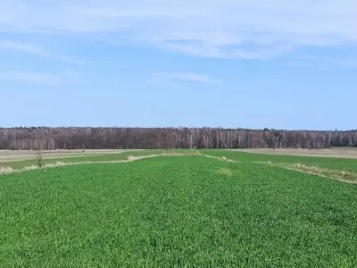 Dziłka rolno budowlana 1ha