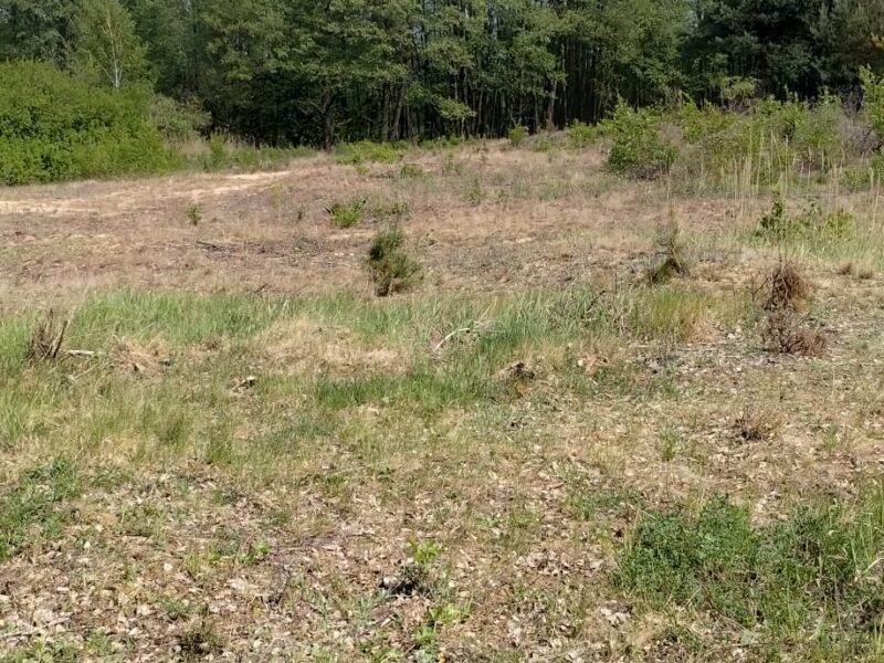 Działka budowlana 3000 m² – Kazuń Bielany, blisko Warszawy
