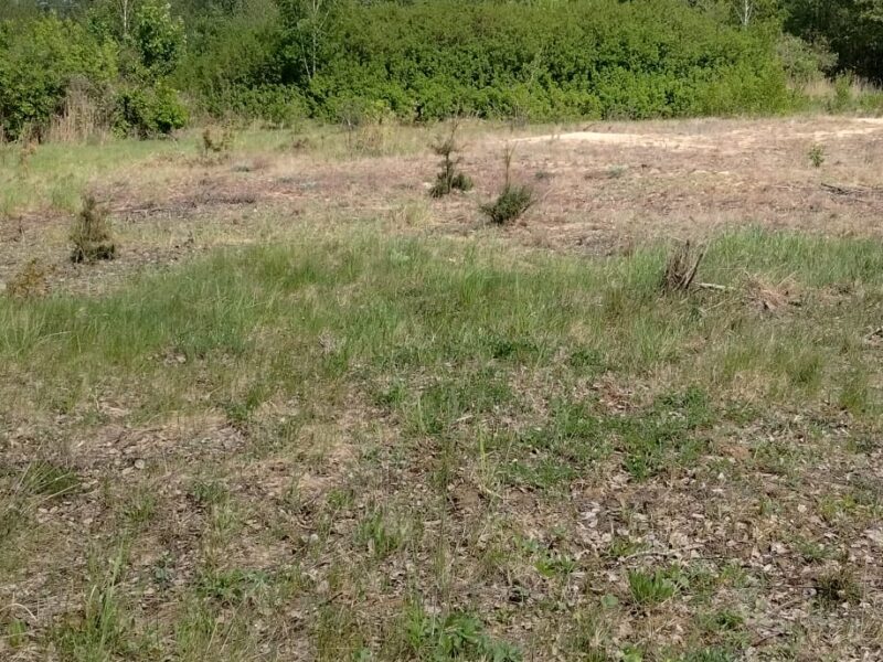 Działka budowlana 3000 m² – Kazuń Bielany, blisko Warszawy