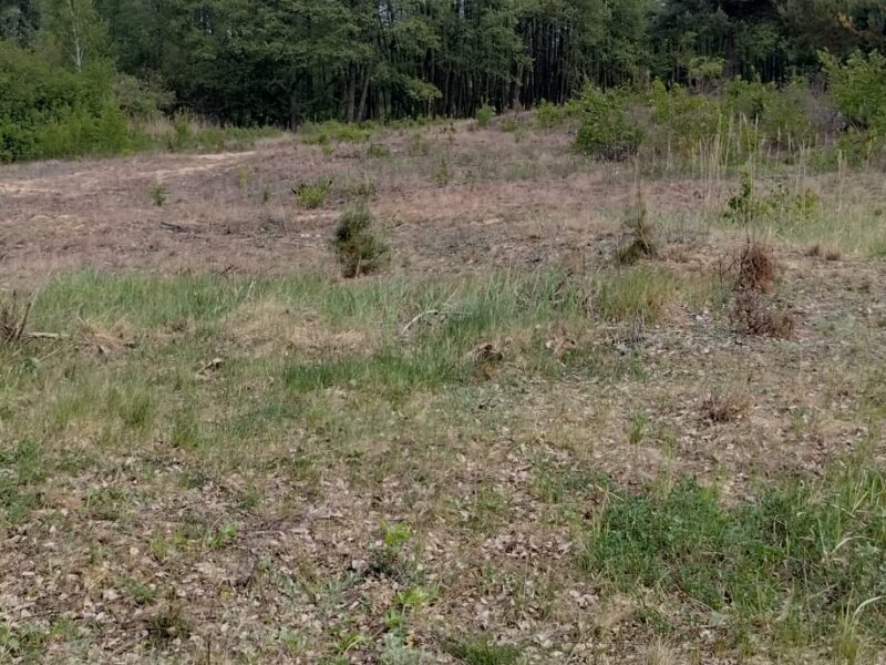 Działka budowlana 3000 m² – Kazuń Bielany, blisko Warszawy