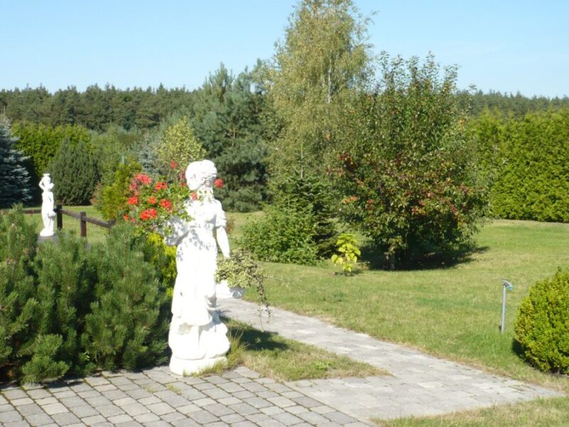 Rezydencja 570m2 z basenem Łazy k/Kampinosu