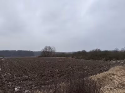 Syndyk sprzeda 1/2 udziału w prawie własności nieruchomości