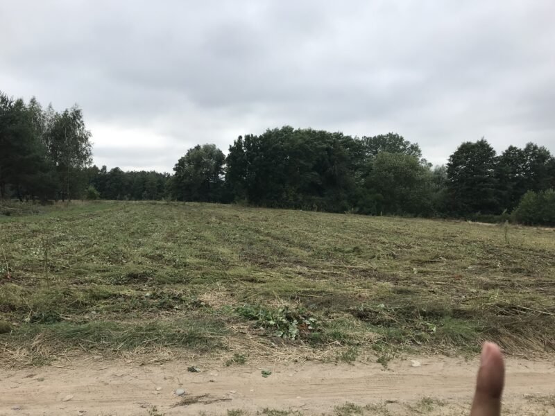 Działka 2000 m² rekreacyjna z MPZP – możliwość budowy domu