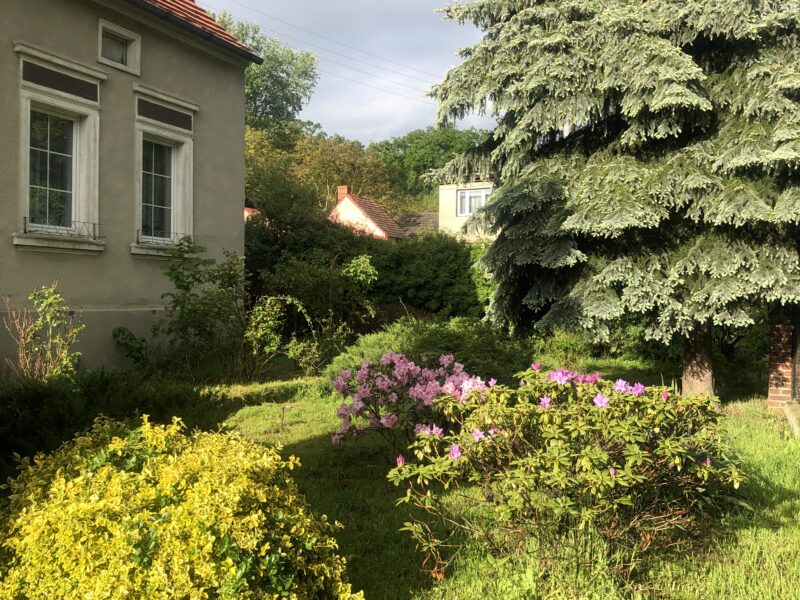 Przestronny dom 188 m² z działką 1749 m² i zabudowaniami gospodarczymi | Krosno Odrzańskie