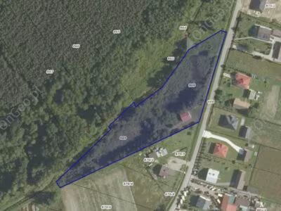 Dom z działką i stawem