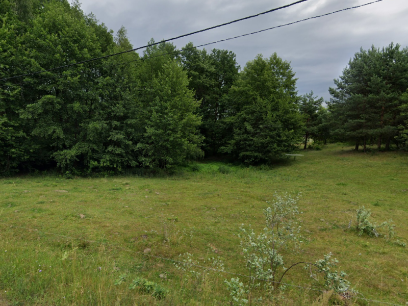 Działka 2300 m² Stefanów | lasy, Pilica, stare drzewa, asfalt i media