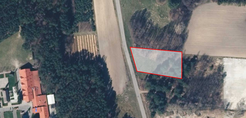 Działka 2300 m² Stefanów | lasy, Pilica, stare drzewa, asfalt i media