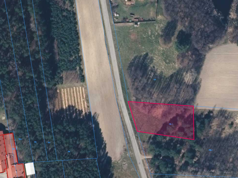 Działka 2300 m² Stefanów | lasy, Pilica, stare drzewa, asfalt i media