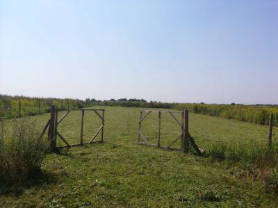 Sprzedam działkę budowlaną 1244 m², Kębłowice, ul. Szybowcowa