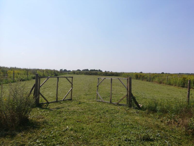 Sprzedam działkę budowlaną 1244 m², Kębłowice, ul. Szybowcowa