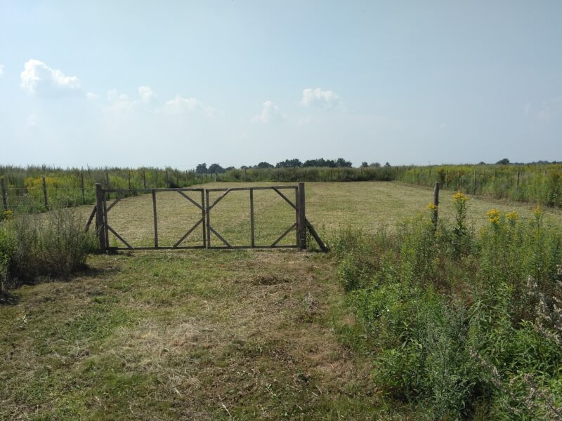 Sprzedam działkę budowlaną 1244 m², Kębłowice, ul. Szybowcowa