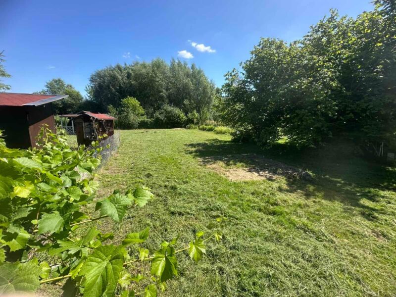 Działka ogrodowa 450m² ROD Bystrzyca,