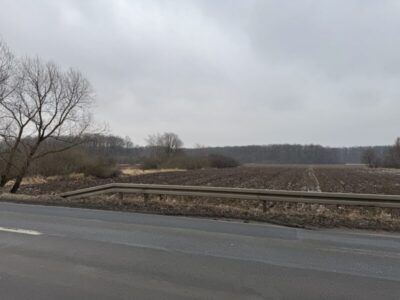 Syndyk sprzeda 1/2 udziału w prawie własności własności nieruchomości gruntowej