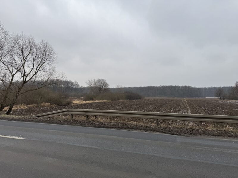 Syndyk sprzeda 1/2 udziału w prawie własności własności nieruchomości gruntowej
