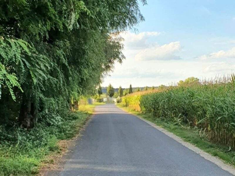 Działki budowlane blisko jeziora Gopło – Połajewek (5x 10 arów + 32 ary)