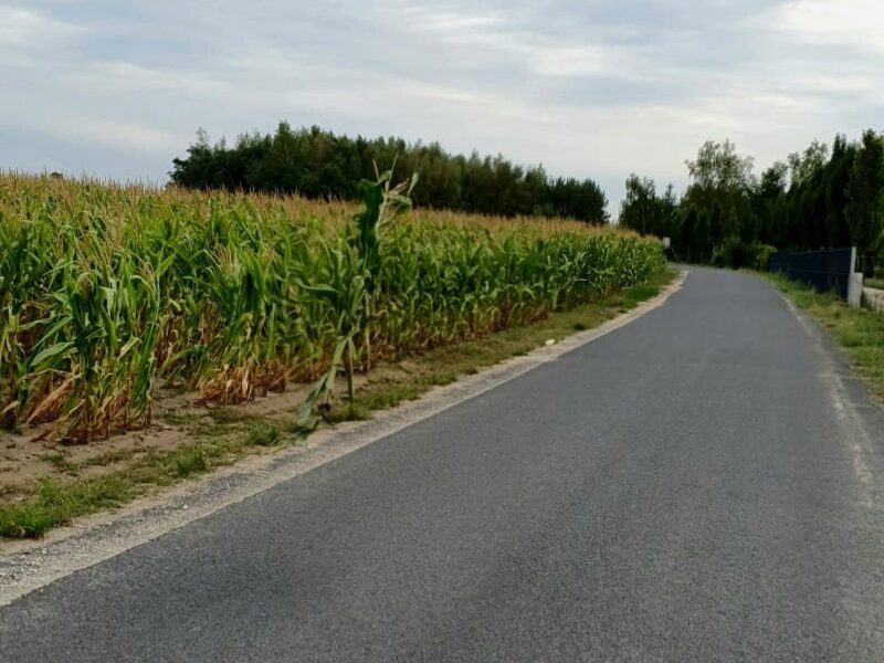 Działki budowlane blisko jeziora Gopło – Połajewek (5x 10 arów + 32 ary)