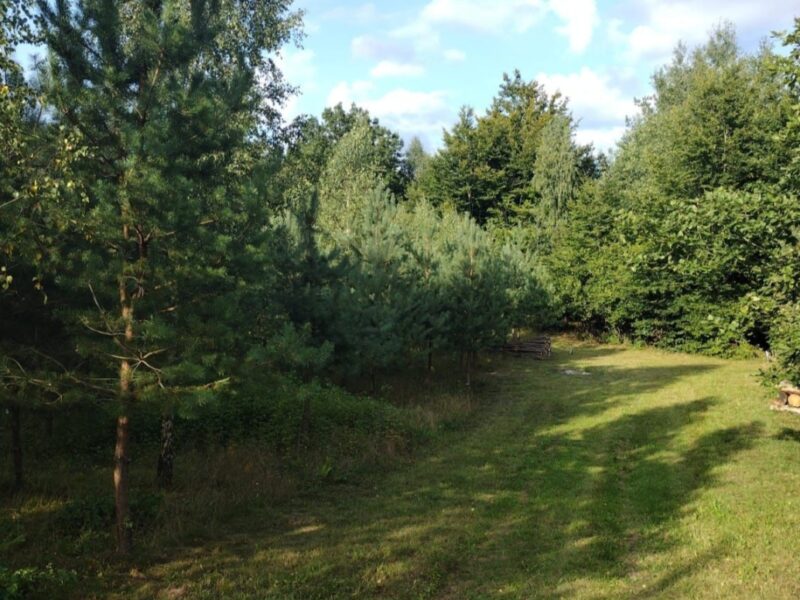 Dwie ładne i sąsiadujące ze sobą działki na Kaszubach.