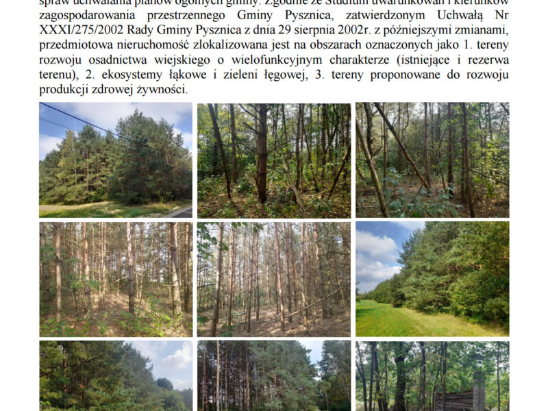 Syndyk sprzeda udziały w grunatach Jastkowice - Stalowa Wola