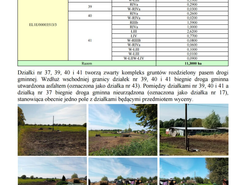 Syndyk sprzeda udziały w grunatach Żurawiec, Żółwiniec, Jurandowo
