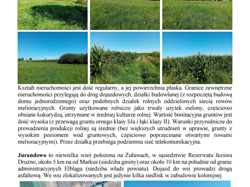 Syndyk sprzeda udziały w grunatach Żurawiec, Żółwiniec, Jurandowo