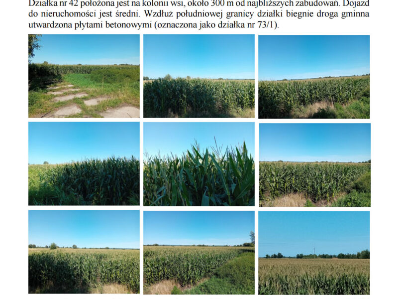 Syndyk sprzeda udziały w grunatach Żurawiec, Żółwiniec, Jurandowo